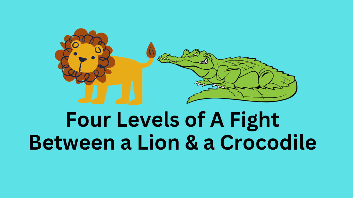 Four Levels of A Fight Between a Lion & a Crocodile