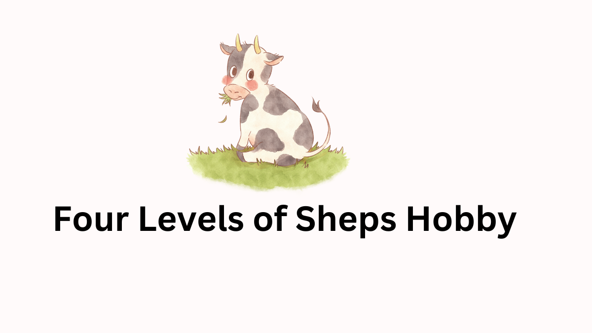 sheps hobby four levels