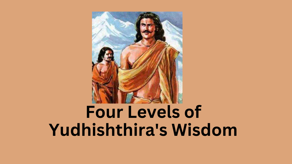 Yudhishthira's wisdom
