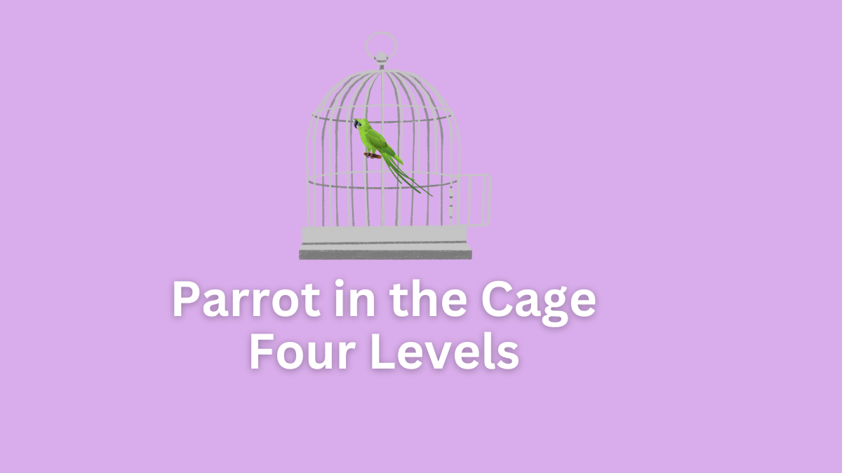 the parrot in the cage