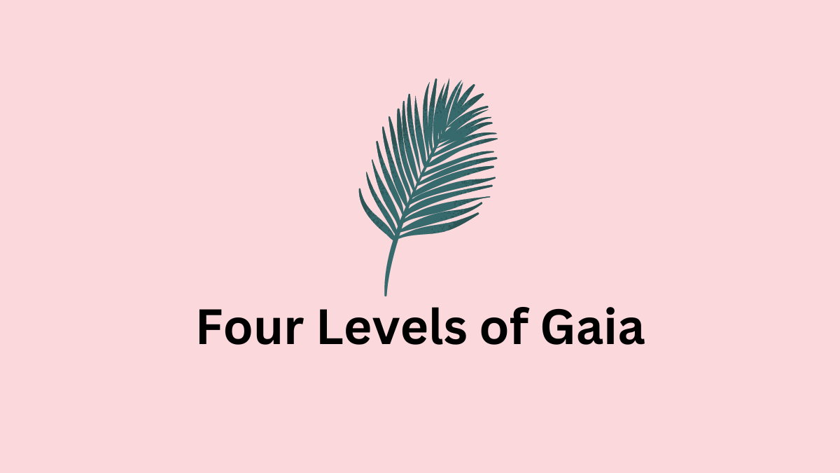 Four Levels of Gaia