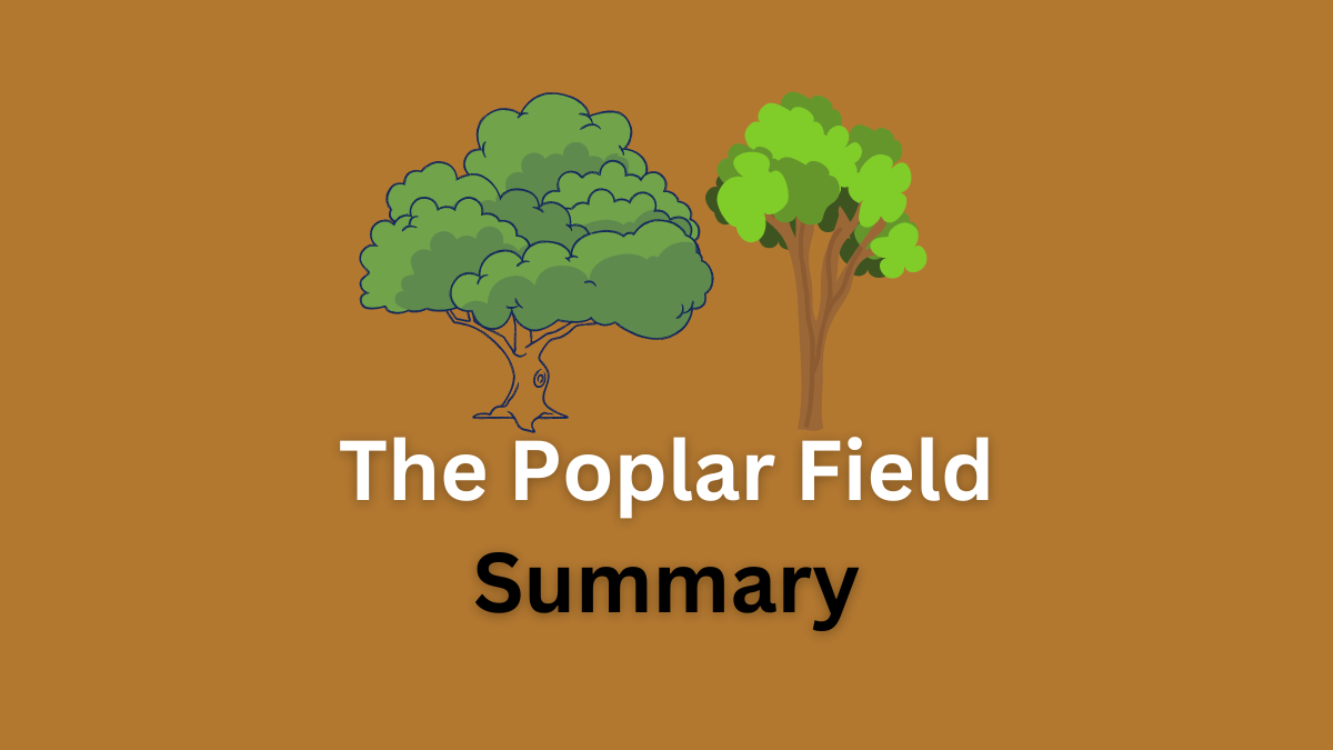 the poplar field summary